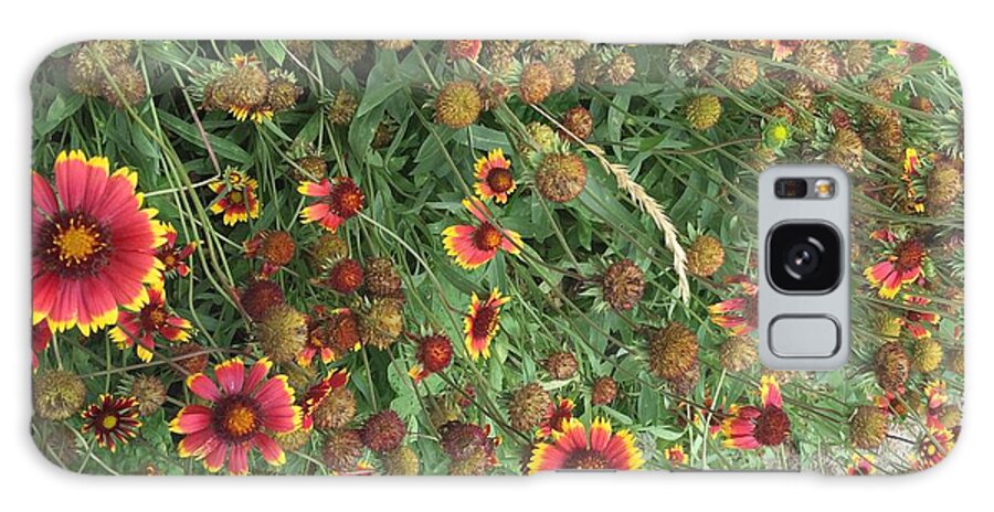 Orange Flower Garden - Phone Case