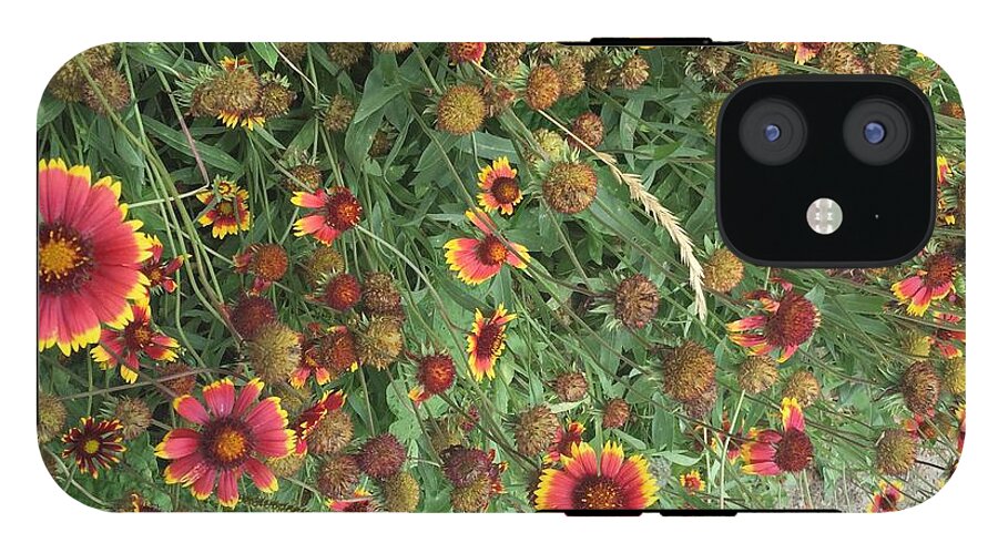 Orange Flower Garden - Phone Case