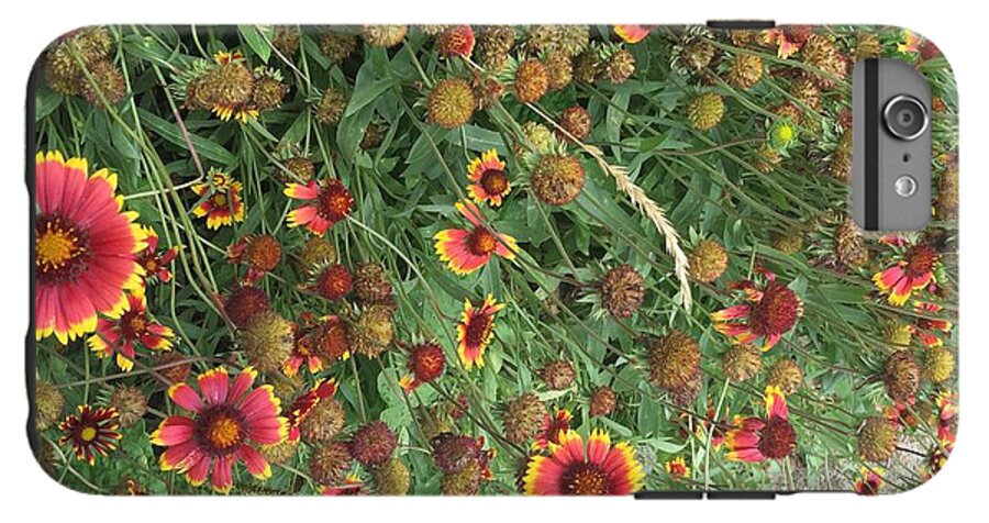 Orange Flower Garden - Phone Case