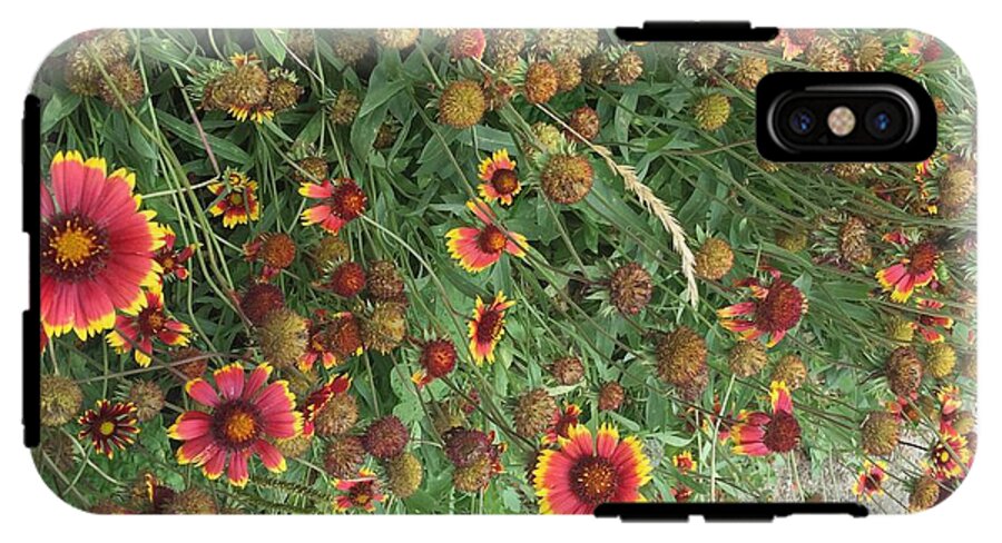 Orange Flower Garden - Phone Case