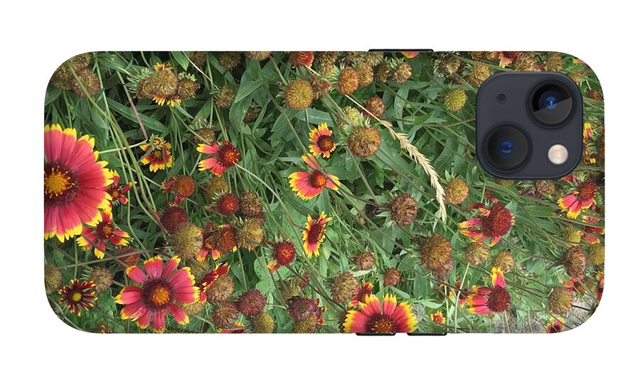 Orange Flower Garden - Phone Case