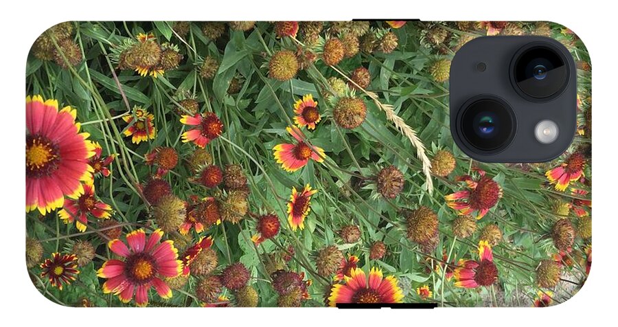 Orange Flower Garden - Phone Case