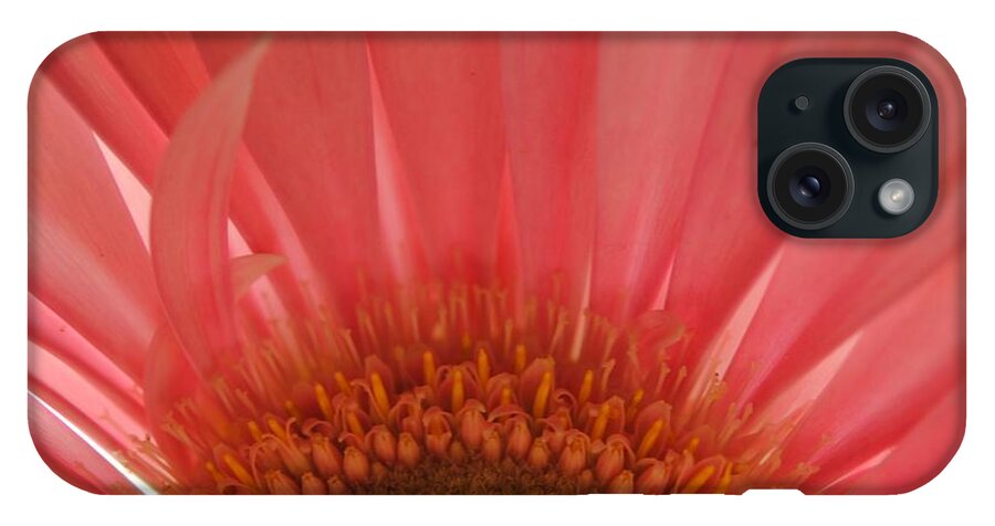 Pastel Pink and Yellow Daisy Center - Phone Case