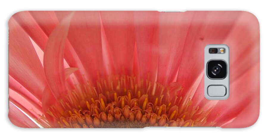 Pastel Pink and Yellow Daisy Center - Phone Case