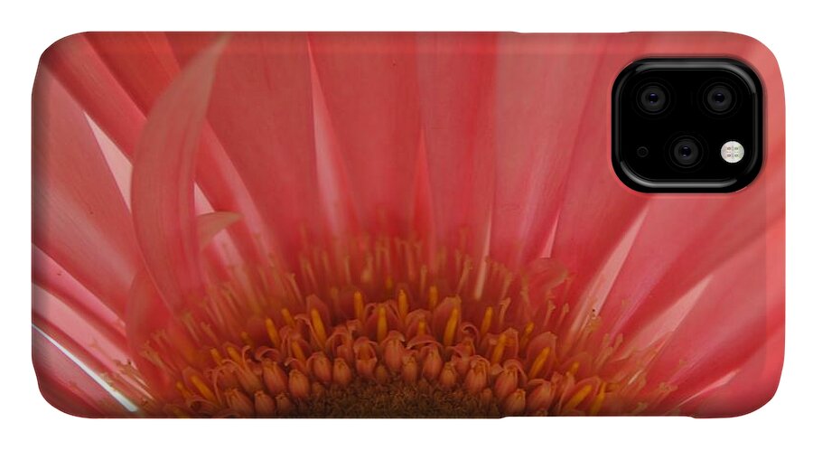 Pastel Pink and Yellow Daisy Center - Phone Case