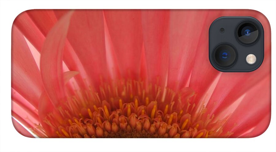 Pastel Pink and Yellow Daisy Center - Phone Case