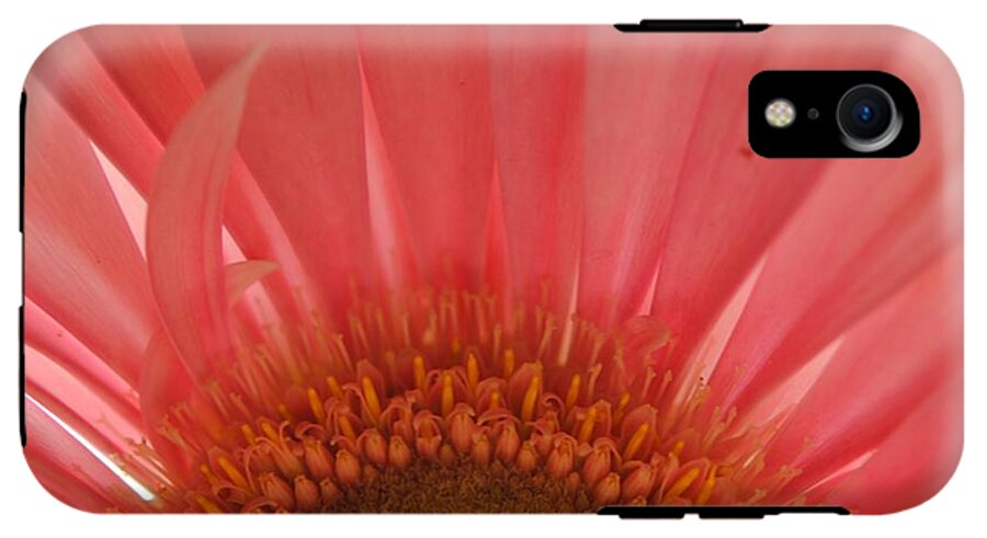 Pastel Pink and Yellow Daisy Center - Phone Case