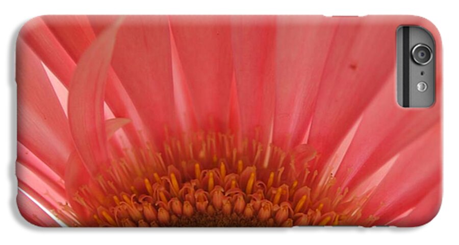 Pastel Pink and Yellow Daisy Center - Phone Case