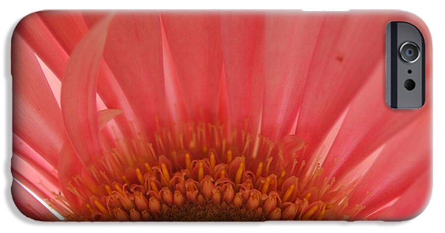 Pastel Pink and Yellow Daisy Center - Phone Case
