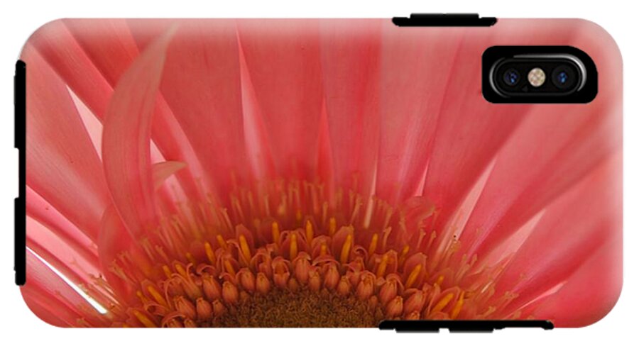 Pastel Pink and Yellow Daisy Center - Phone Case