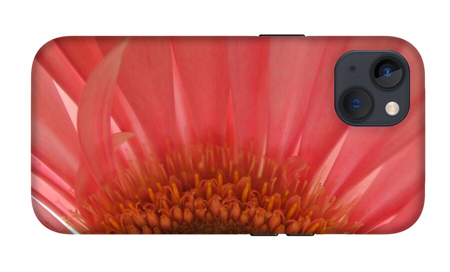 Pastel Pink and Yellow Daisy Center - Phone Case