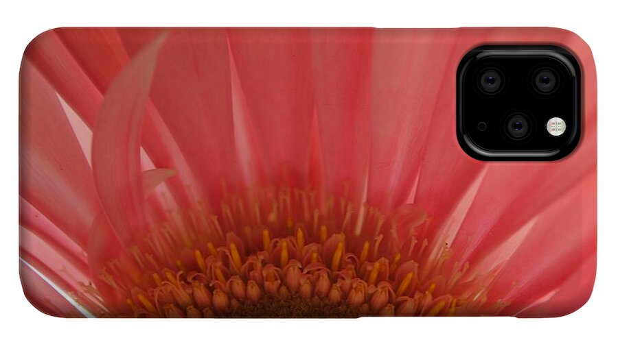 Pastel Pink and Yellow Daisy Center - Phone Case