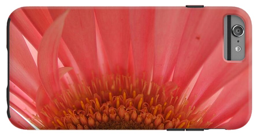 Pastel Pink and Yellow Daisy Center - Phone Case