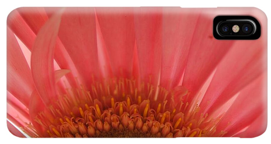 Pastel Pink and Yellow Daisy Center - Phone Case