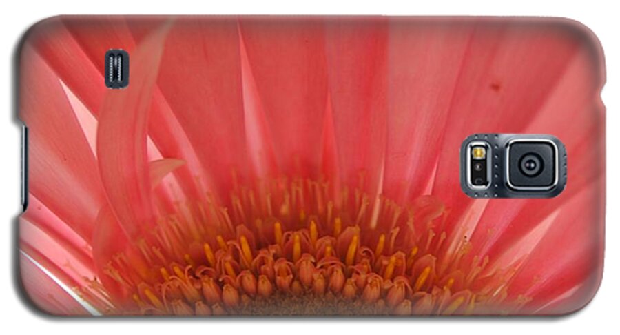 Pastel Pink and Yellow Daisy Center - Phone Case