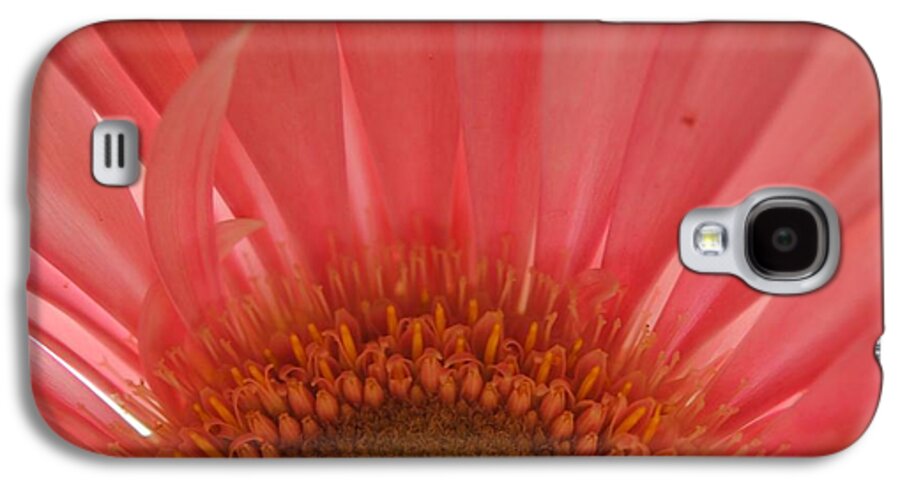 Pastel Pink and Yellow Daisy Center - Phone Case
