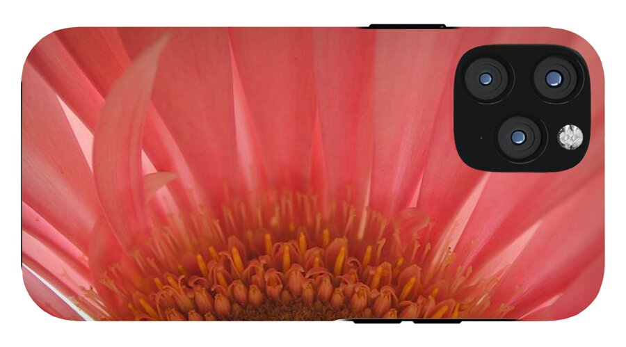 Pastel Pink and Yellow Daisy Center - Phone Case
