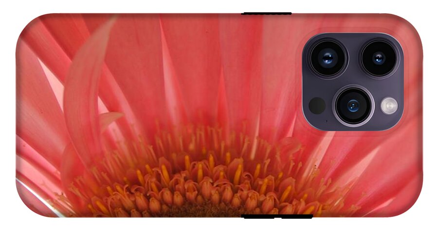 Pastel Pink and Yellow Daisy Center - Phone Case