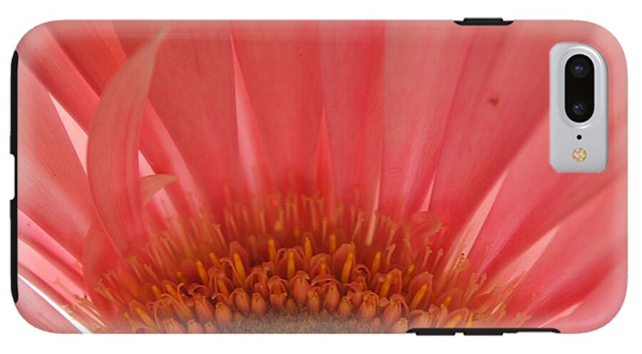 Pastel Pink and Yellow Daisy Center - Phone Case