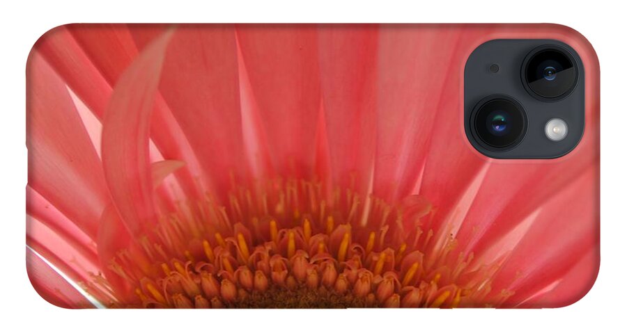 Pastel Pink and Yellow Daisy Center - Phone Case