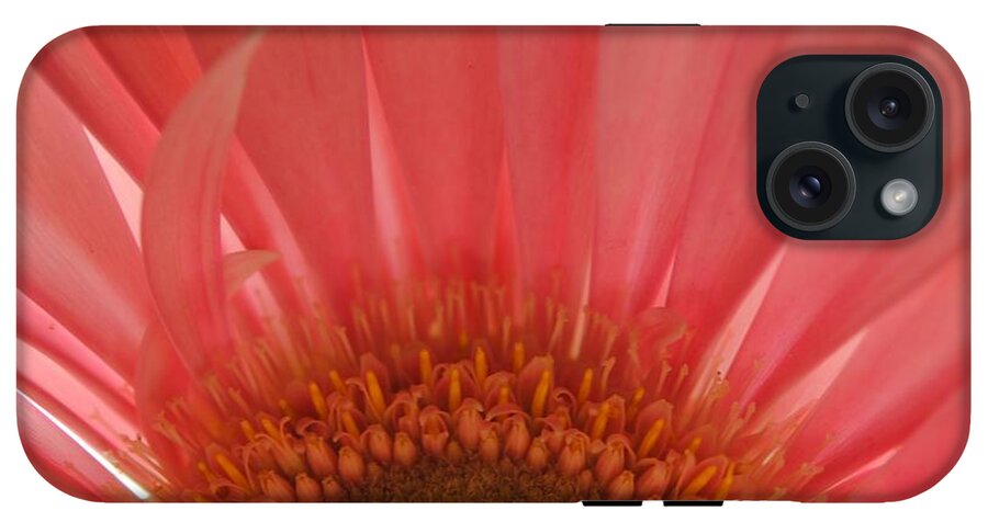 Pastel Pink and Yellow Daisy Center - Phone Case