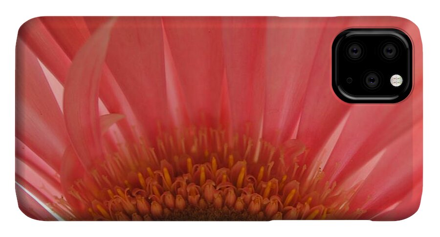 Pastel Pink and Yellow Daisy Center - Phone Case