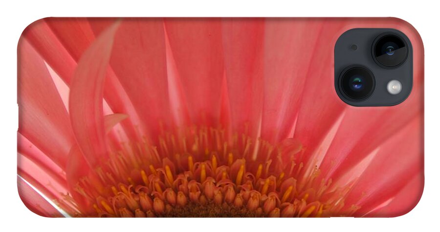 Pastel Pink and Yellow Daisy Center - Phone Case