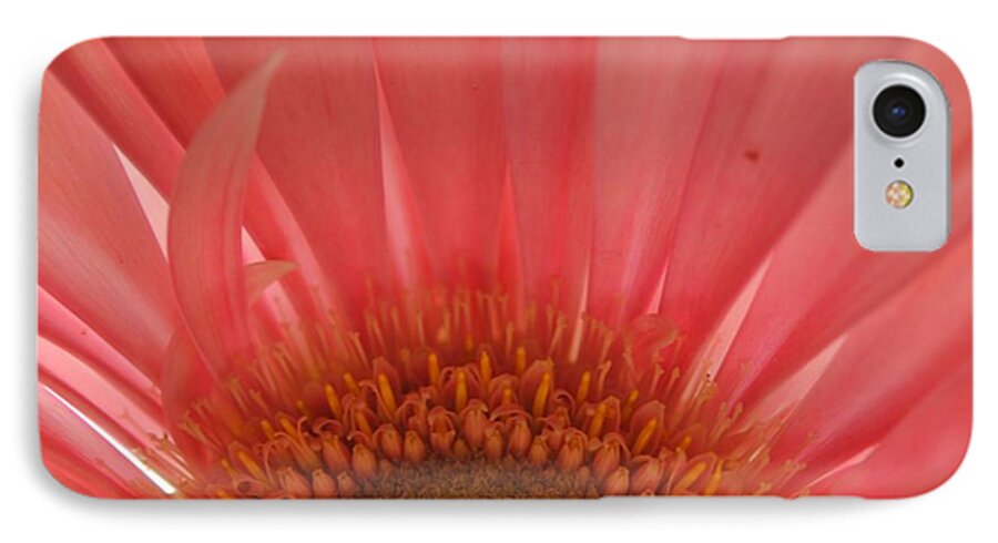 Pastel Pink and Yellow Daisy Center - Phone Case