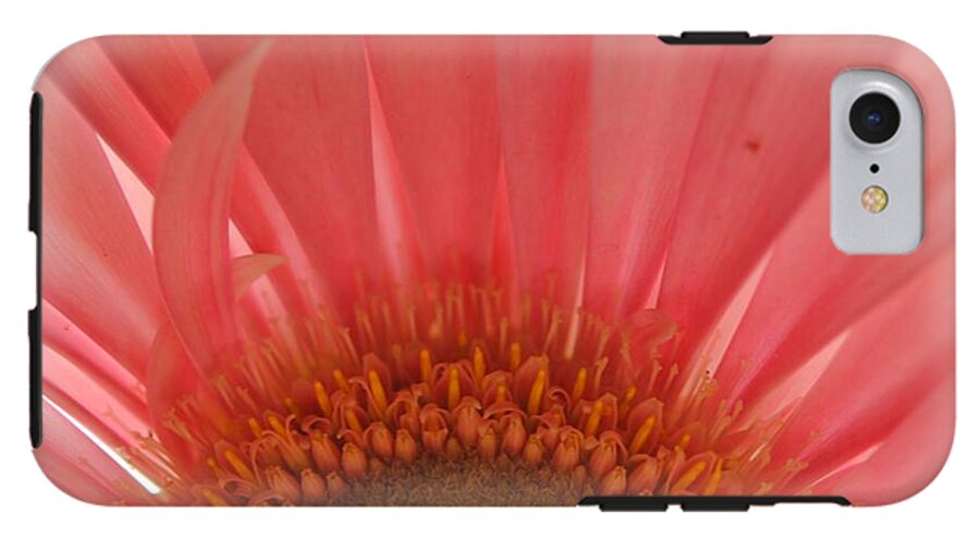 Pastel Pink and Yellow Daisy Center - Phone Case