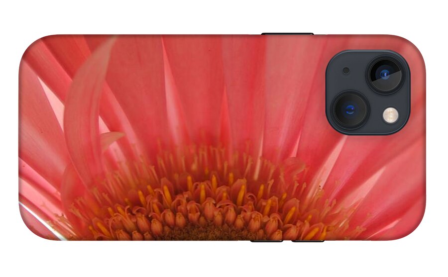 Pastel Pink and Yellow Daisy Center - Phone Case