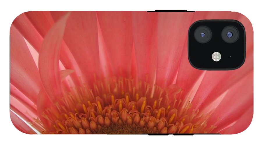 Pastel Pink and Yellow Daisy Center - Phone Case