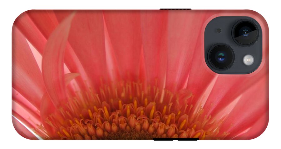 Pastel Pink and Yellow Daisy Center - Phone Case