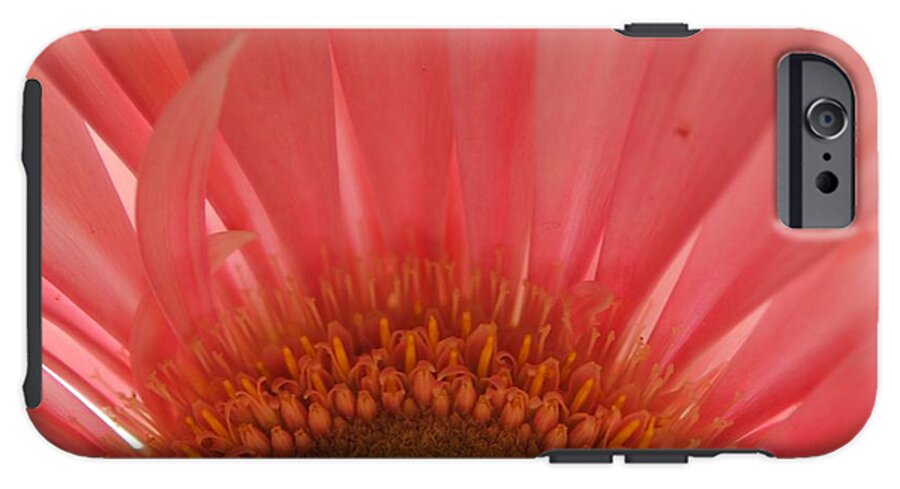 Pastel Pink and Yellow Daisy Center - Phone Case