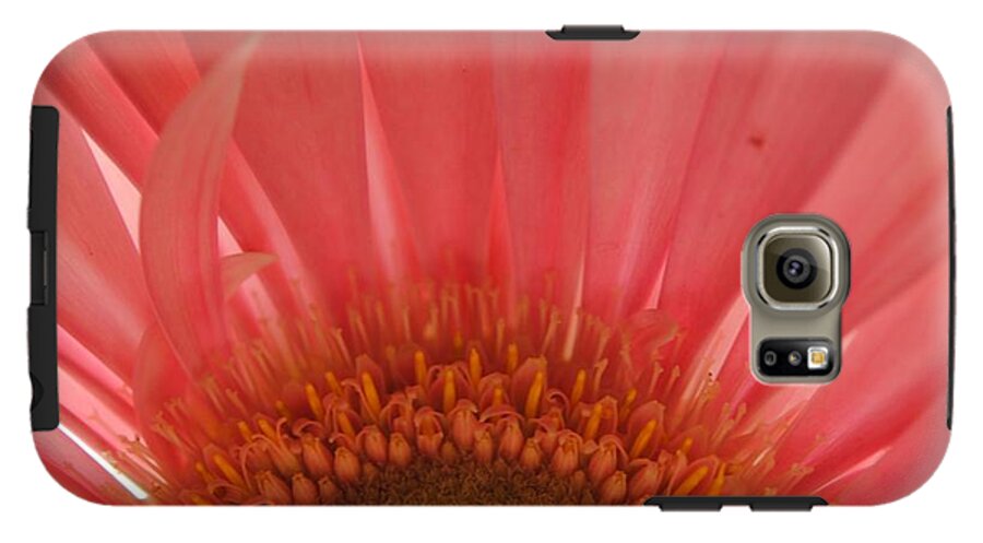 Pastel Pink and Yellow Daisy Center - Phone Case