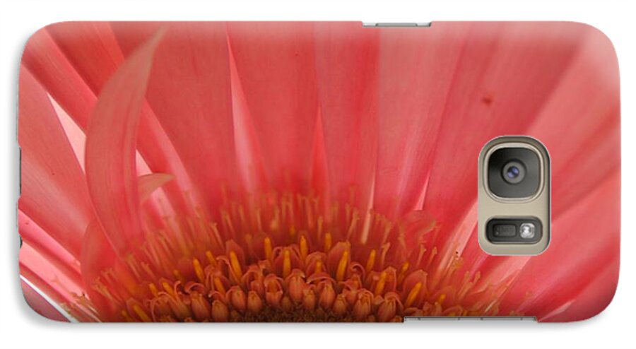 Pastel Pink and Yellow Daisy Center - Phone Case