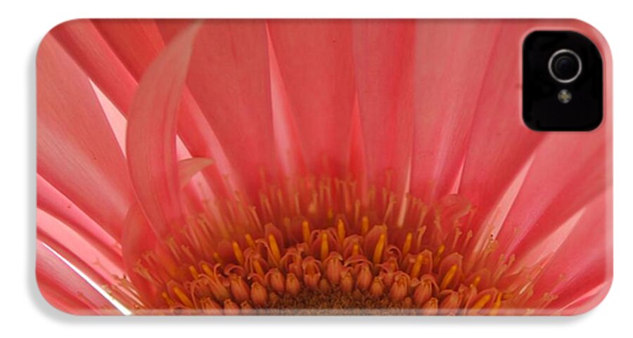 Pastel Pink and Yellow Daisy Center - Phone Case