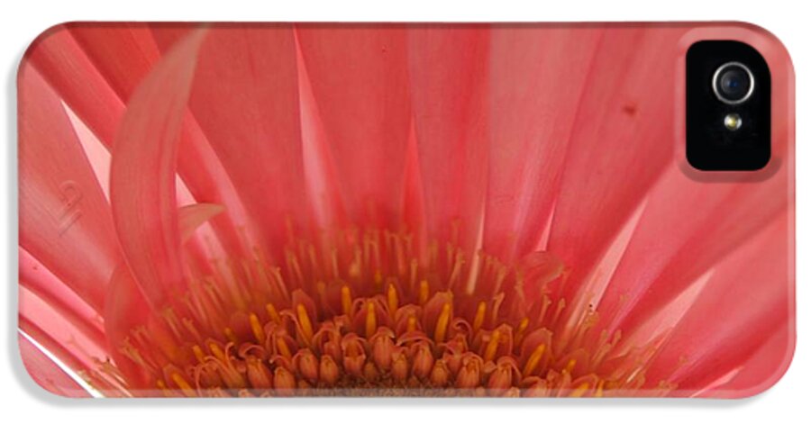 Pastel Pink and Yellow Daisy Center - Phone Case