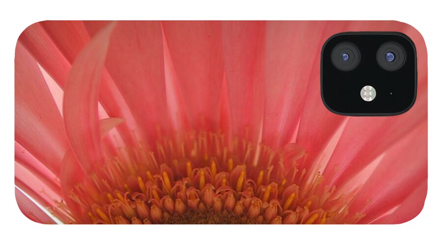 Pastel Pink and Yellow Daisy Center - Phone Case