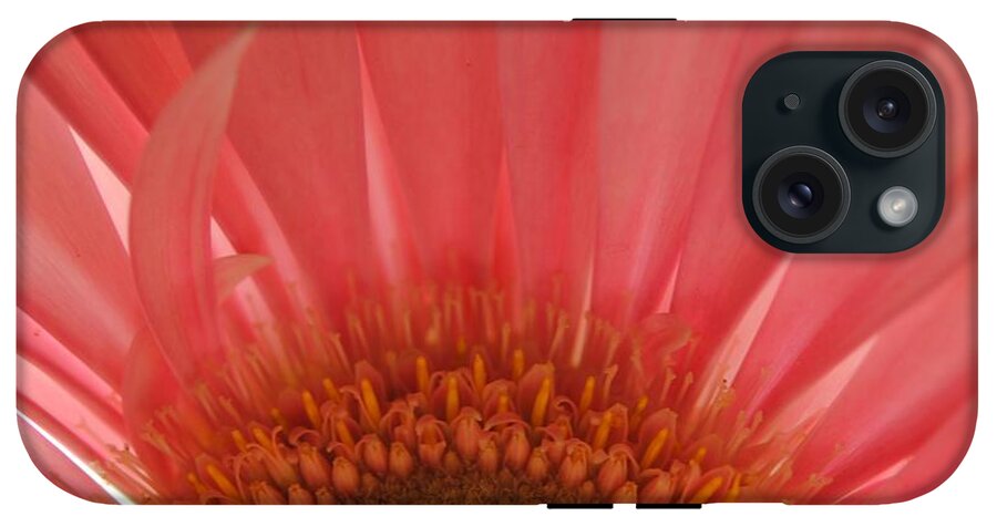 Pastel Pink and Yellow Daisy Center - Phone Case