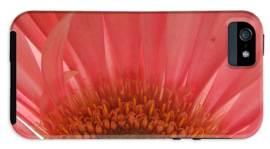 Pastel Pink and Yellow Daisy Center - Phone Case