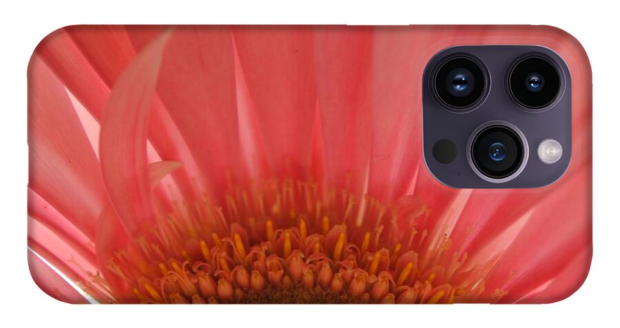 Pastel Pink and Yellow Daisy Center - Phone Case