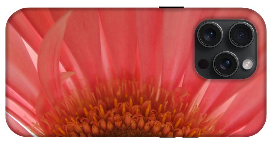 Pastel Pink and Yellow Daisy Center - Phone Case