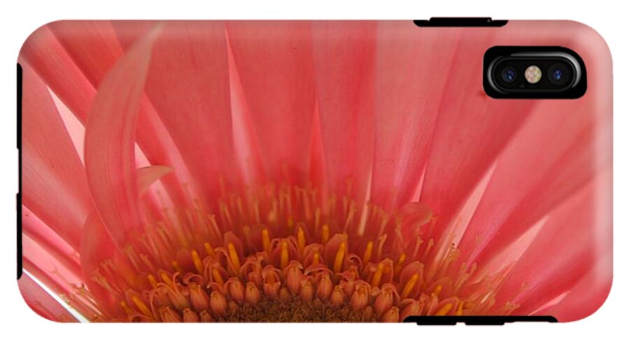 Pastel Pink and Yellow Daisy Center - Phone Case