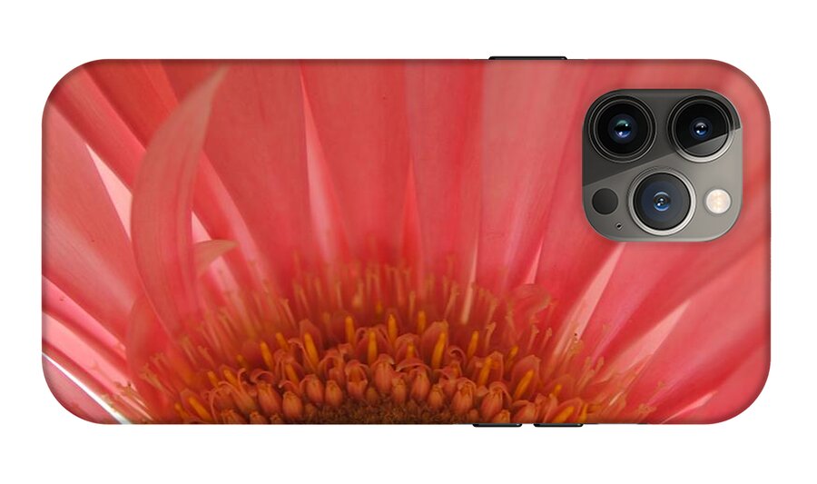 Pastel Pink and Yellow Daisy Center - Phone Case