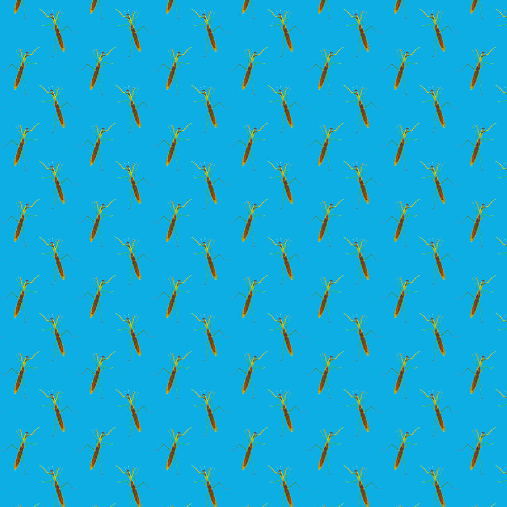 Praying Mantis Pattern Digital Image Download