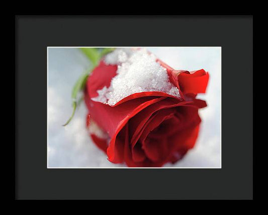 Raw Flowers 16 - Framed Print