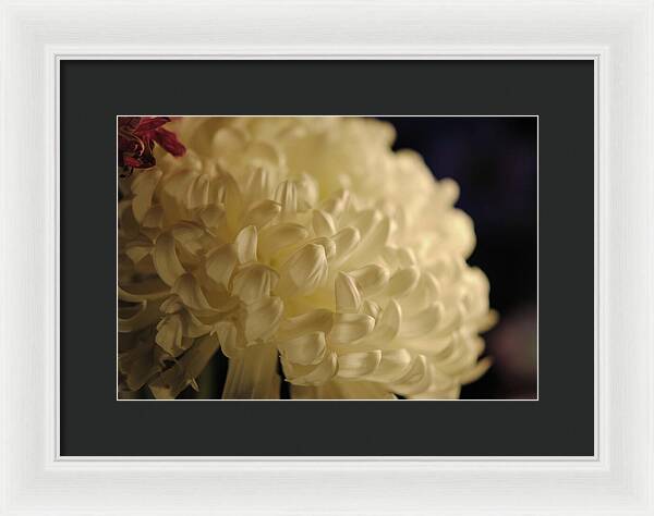 Raw Flowers 17 - Framed Print