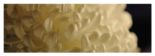 Raw Flowers 17 - Yoga Mat