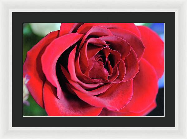 Raw Flowers 22 - Framed Print