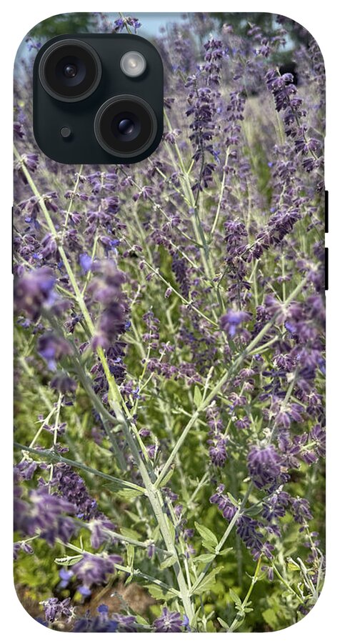 Russian Sage - Phone Case